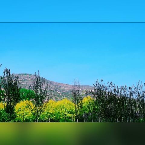 《模拟人生4》海绵宝宝套件包：欢乐时光下的电影联动深度解析