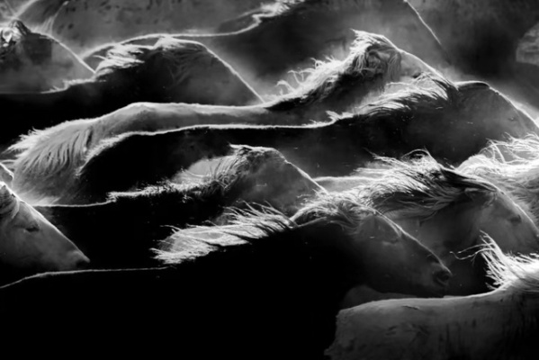 惊悚解谜之旅：马之幽魂惊悚重现