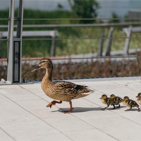 永恒之岛，2025年隐藏宝藏为何只对少数玩家开放？