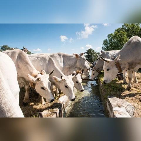 《超级马里奥银河》罗莎塔秘境书,独家降价30%抢购! 《超级马里奥银河》罗莎塔秘境书,独家降价30%抢购!