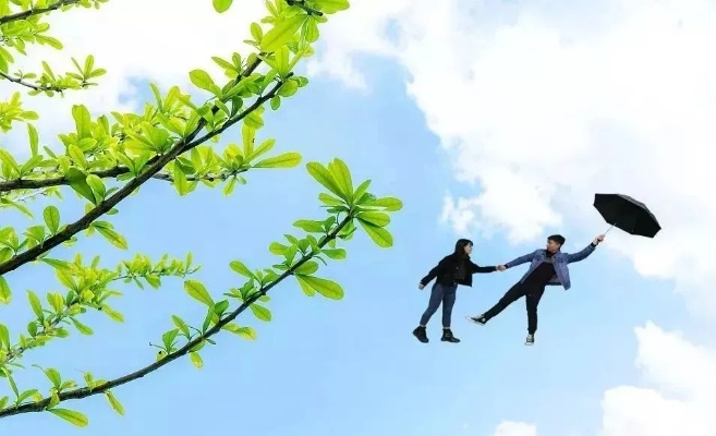 花香采集奇遇记,揭秘小人国天气奥秘 花香采集奇遇记,揭秘小人国天气奥秘