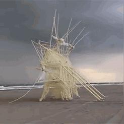 惊世巨兽降临,揭秘金刚传奇新篇章 惊世巨兽降临,揭秘金刚传奇新篇章