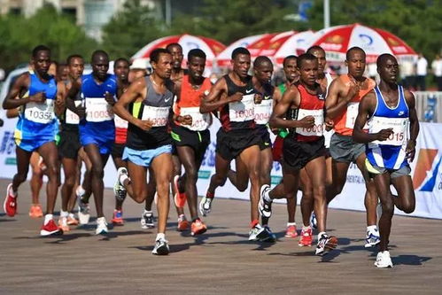 《马拉松》2026年3月发售,40美元体验全新竞技魅力 《马拉松》2026年3月发售,40美元体验全新竞技魅力