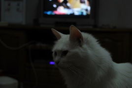 告别传奇！meow领衔Team Secret新篇章