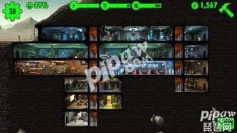 《辐射避难所》联动《辐射真人剧》第二季，限时福利大揭秘！