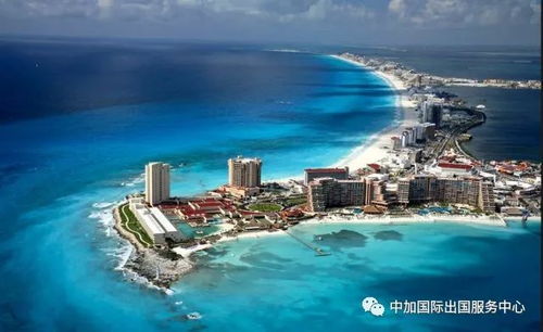 全新生物降临，探索哈尔玛尔群岛生态奇迹