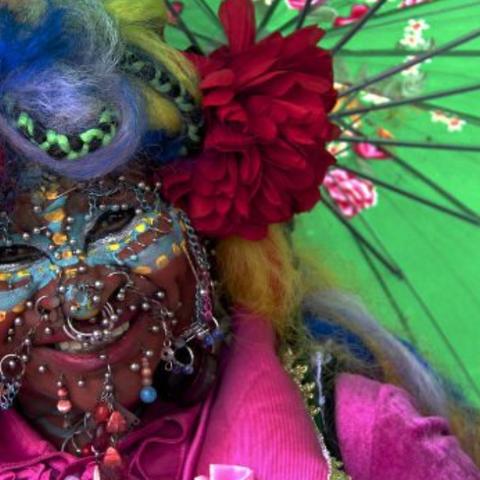 冒险岛伴侣102,2025年伴侣升级终极秘籍? 冒险岛伴侣102,2025年伴侣升级终极秘籍?