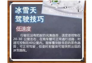 路政传奇，2025年道路管理高手的终极秘诀曝光？