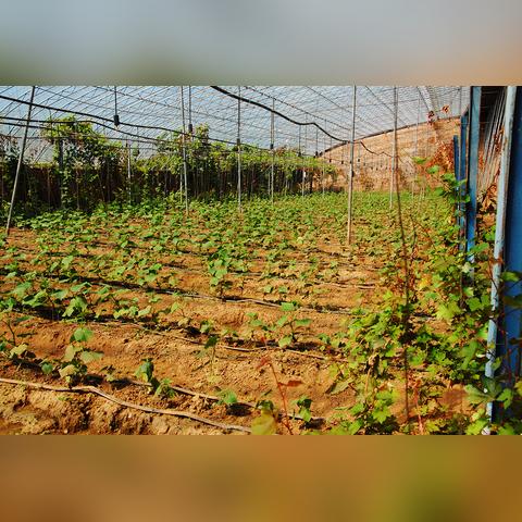 热河传奇，2025年独家洞察，揭示称霸热土的终极奥秘？