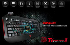 风云ol官方下载，2025最新权威推荐，安全通道一键获取？