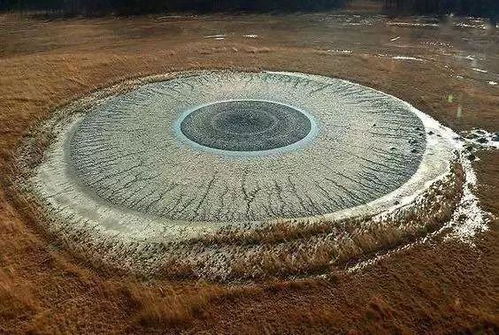 天赋飞跃抓帽绝技，文班亚马球场织天网奇观