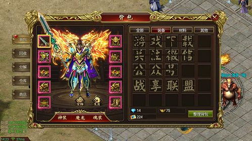 传奇3，2025年稀缺秘技揭秘，你的战力能飙升多少？