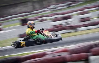 卫生纸短缺引热潮，《马力欧卡丁车：大进击》大揭秘！