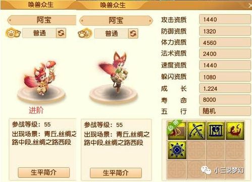 泡泡网站,2026年秘密武器让你的泡泡射击游戏分数飙升? 泡泡网站,2026年秘密武器让你的泡泡射击游戏分数飙升?