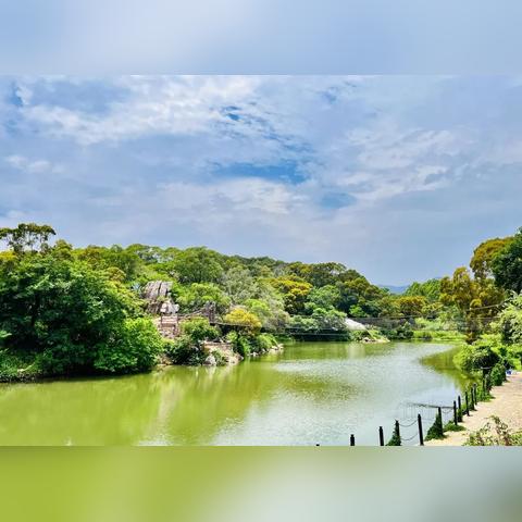 周末游戏攻略:揭秘1月3日热门玩法精选 周末游戏攻略:揭秘1月3日热门玩法精选