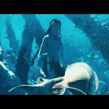 《阿凡达:火与灰》票房冲刺10亿,能否超越前作创纪录? 《阿凡达:火与灰》票房冲刺10亿,能否超越前作创纪录?