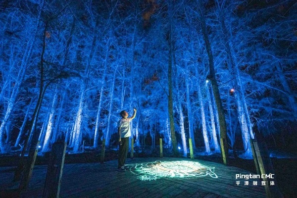 冰雪消融探秘之旅：森林99夜新篇章