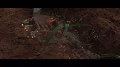 惊魂电锯再升级，狮门影业全新力作震撼来袭