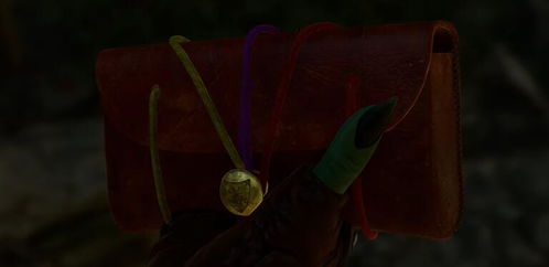 神秘守墓人盖尔奇遇，揭开博德之门3神秘互动面纱