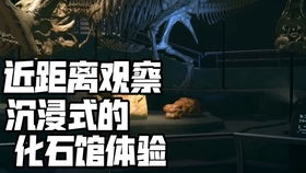 《StarRupture》攻略秘籍：新手必看崛起之路