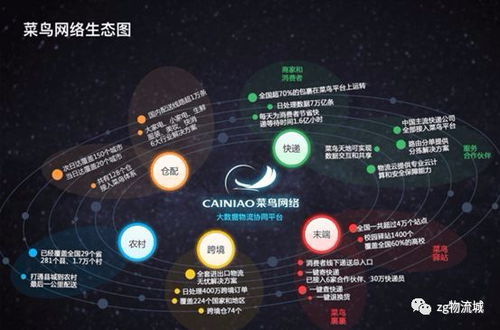 升级策略大革新，从菜鸟到高手的捷径