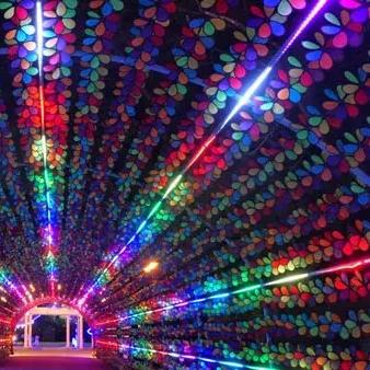 半月岛游乐园终极秘境？2026年高玩解锁必刷隐藏奇观！