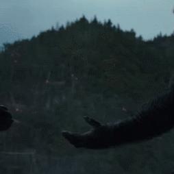 黑暗女神官，2026终极奥秘，如何主宰战场？