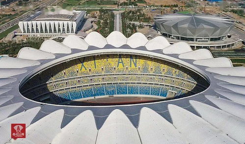 病毒起源揭秘,皮克特体育场新纪元启幕 病毒起源揭秘,皮克特体育场新纪元启幕