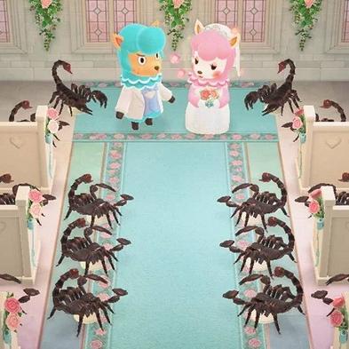 奇趣岛探险记：揭秘动物森友会新秘境