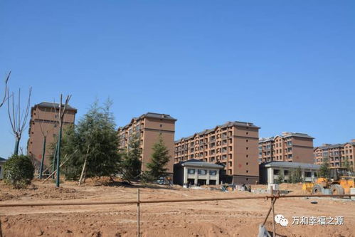 雪松原木攻略:Hytale建筑新宠揭秘 雪松原木攻略:Hytale建筑新宠揭秘