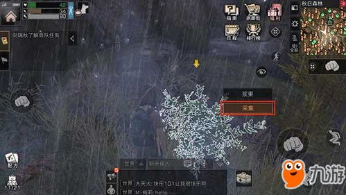 秘银矿高效采集攻略：揭秘Hytale最佳挖掘点