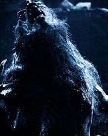 《黑夜传说2：进化》血狼狂潮，娱乐巅峰再升级