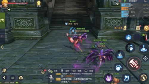 海龙巢穴攻略，2026年必学速通技巧，如何轻松碾压海龙BOSS？