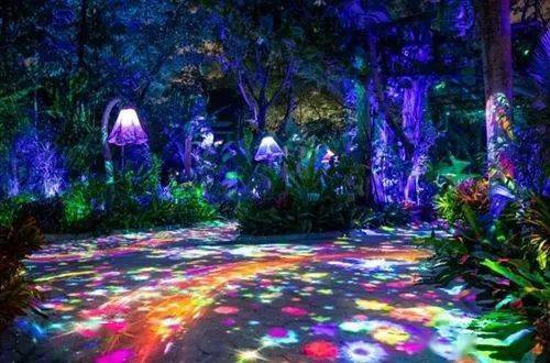 宝可梦现实版全球亮相，打造沉浸式世界级体验