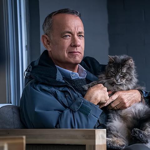 《诚实诊疗室》第三季深度剖析:揭秘治愈之旅新篇章 《诚实诊疗室》第三季深度剖析:揭秘治愈之旅新篇章