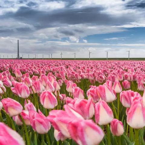 中世纪重现,侠盗新体验,免费畅玩《古风版侠盗猎车手》 中世纪重现,侠盗新体验,免费畅玩《古风版侠盗猎车手》