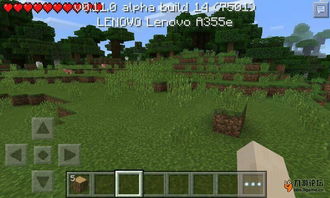 《我的世界》生存必备！打造顶级初始家园攻略揭秘！