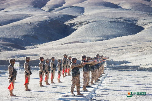 冰雪巅峰：雪域秘境雪地射击新纪元