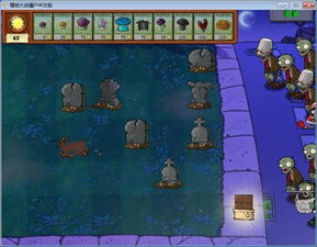 冒险岛6，2026年顶级玩家如何秒杀Boss？稀缺秘籍首度公开！