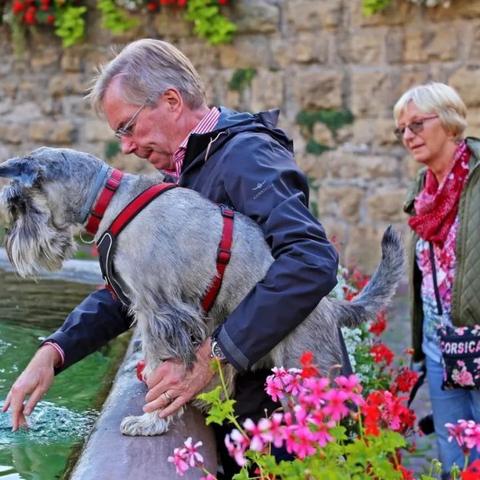 《心动小镇》系统配置攻略：解锁全新游戏体验秘籍