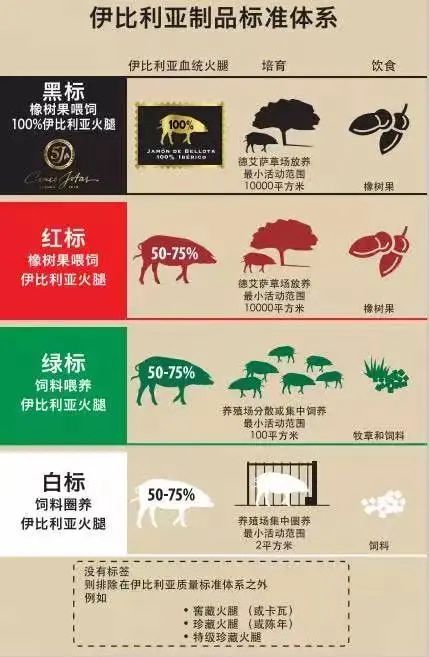 2026开年必看，成长礼盒究竟是智商税还是版本答案？