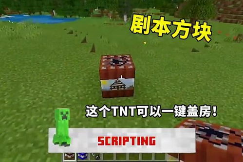 泡泡堂首页2026年新惊喜揭秘，如何一键速达隐藏地图？