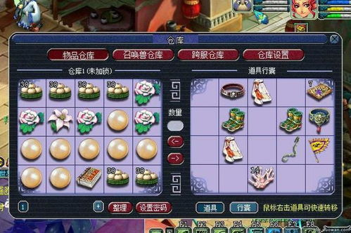 766冒险岛，2026独家秘笈，新手如何瞬间逆袭大佬？