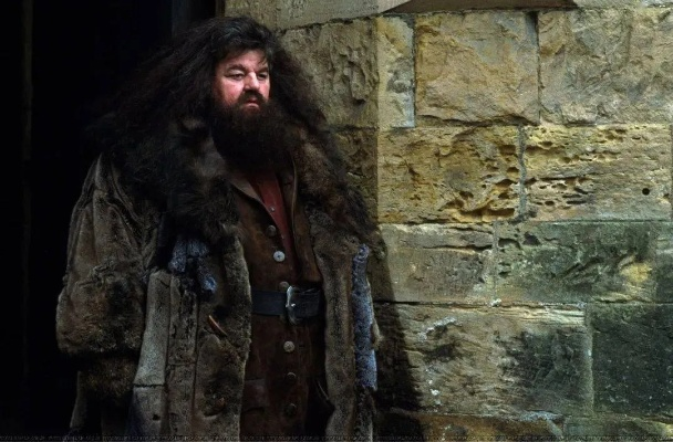 7000遍“海格”显灵，尼克·弗罗斯特终成魔法巨匠