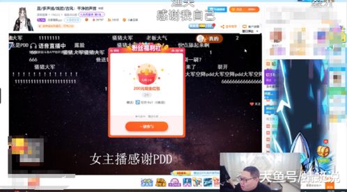 豪赌16万美金，主播游戏爆款光速回本，揭秘新价值！