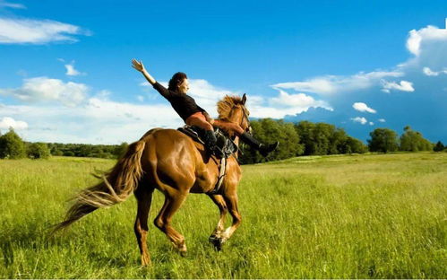 雪地骑马体验升级，《鸭科夫》×《塔科夫》联动试玩深度解析