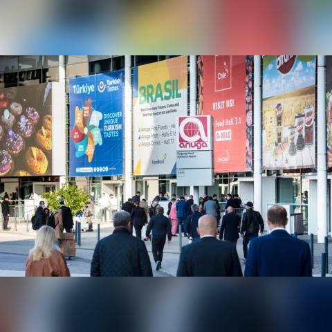 盛大官方网站怎么进？2025年最新正版下载与防伪鉴别