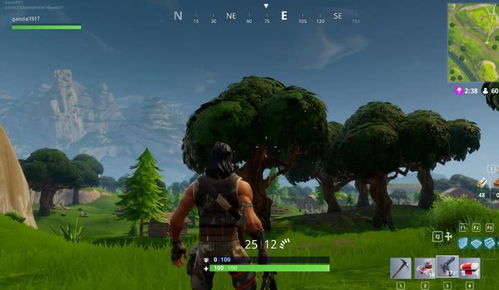 《堡垒之夜》新秀Chappell Roan，惊艳亮相，定义时尚潮流！