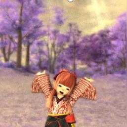 ff14官网直连，7.0黄金之遗产国际服下载全流程解密