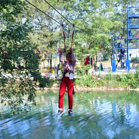 冒险岛免费外挂2024防封技巧揭秘为何老手不用脚本